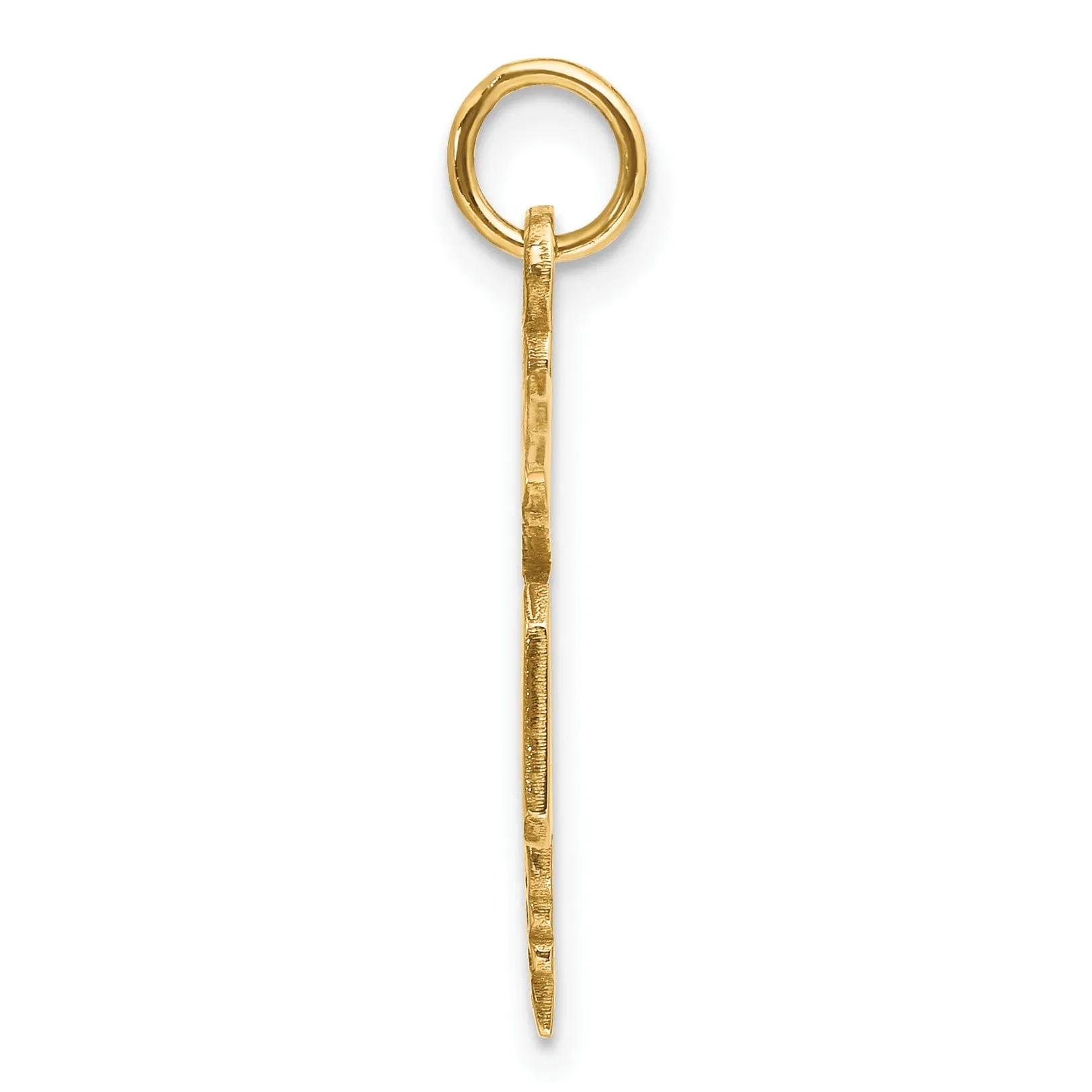 14k Yellow Gold Large M.D. Caduceus Pendant