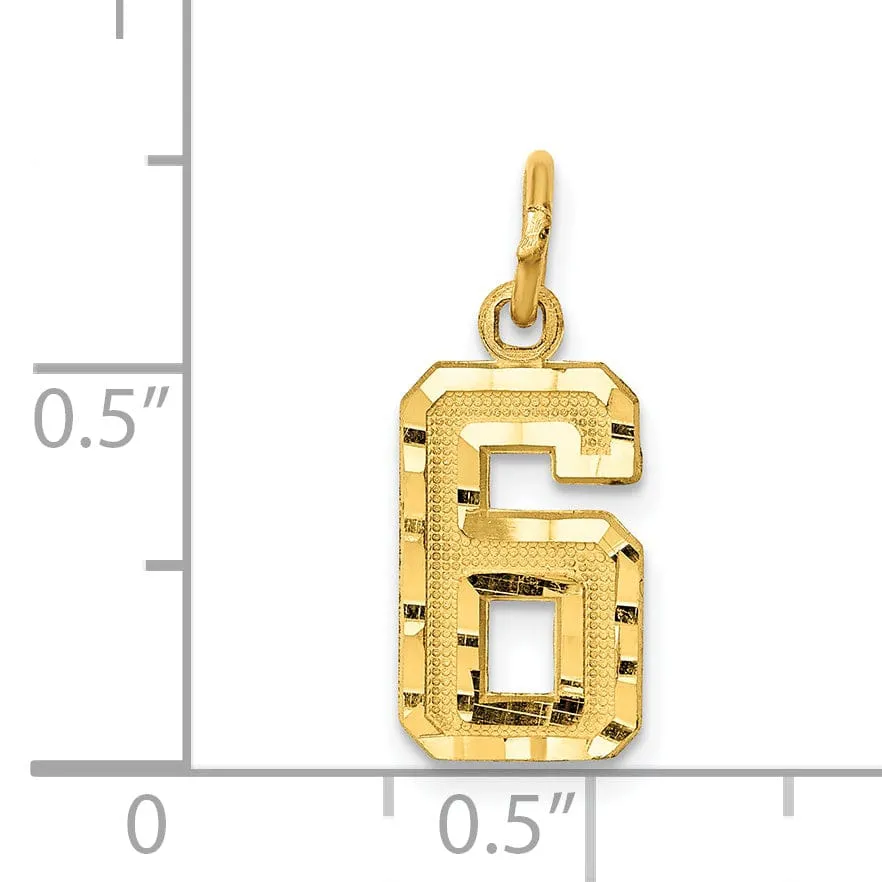 14k Yellow Gold Polished Diamond Cut Finish Small Size Number 6 Charm Pendant