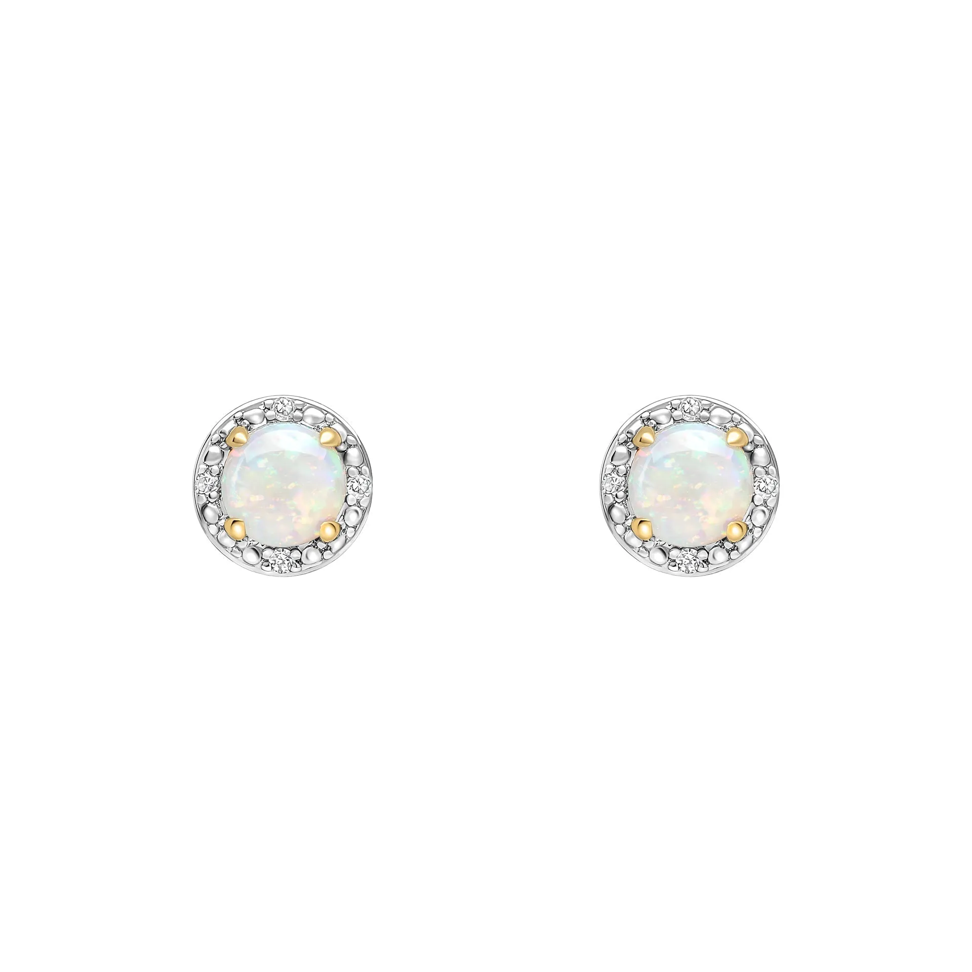 9ct Gold Rhodium Plated Opal Earrings GE2487W