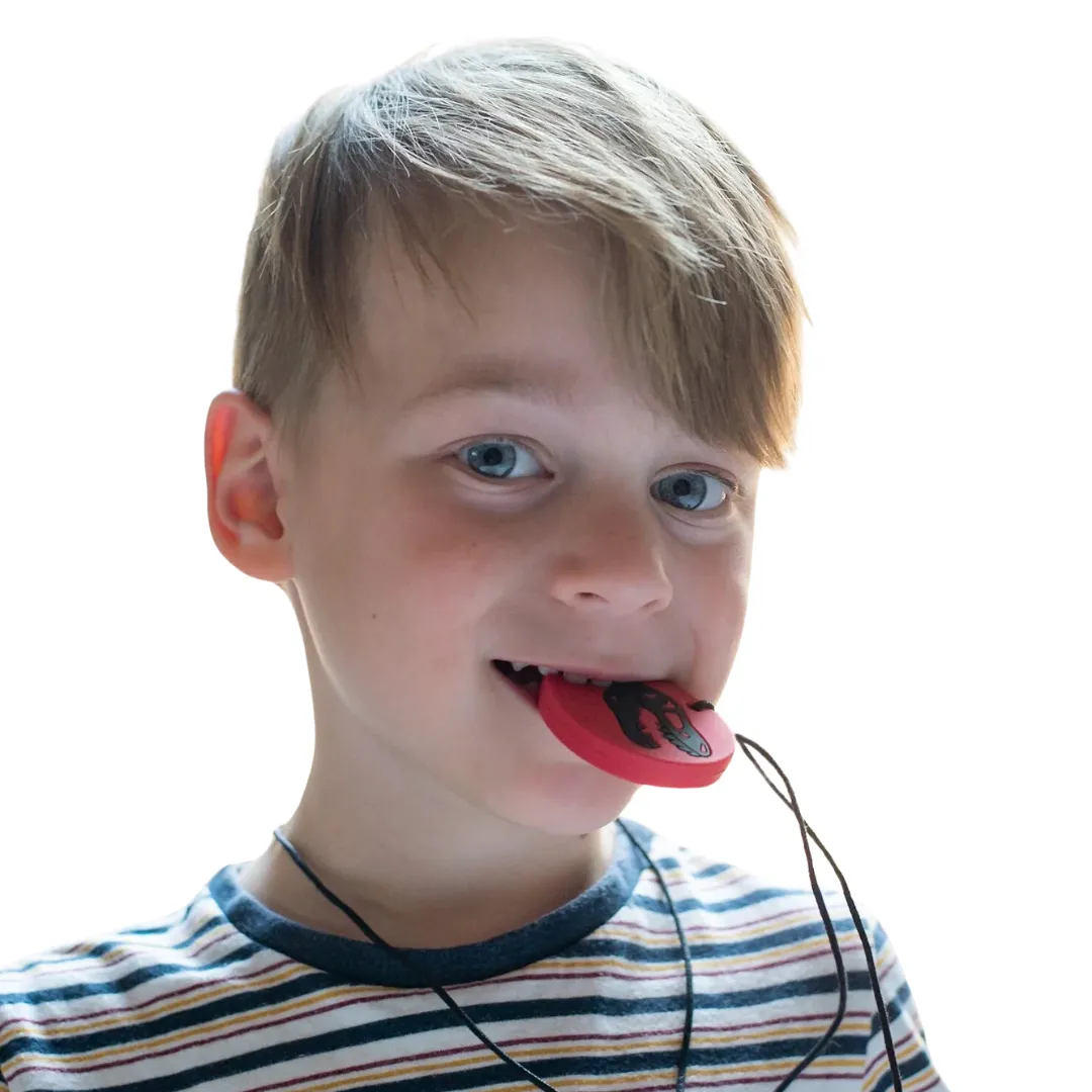Dino Pendant Sensory Calming Chew