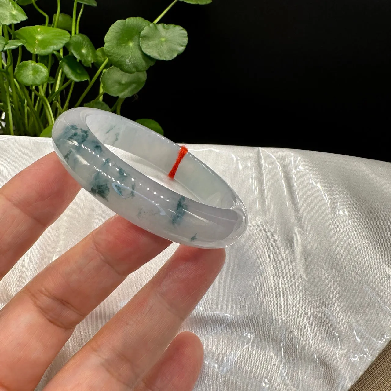 Genuine Burmese High-end Jade Jadeite Oval Bangle Bracelet ( 56.6mm )( Collectibles )