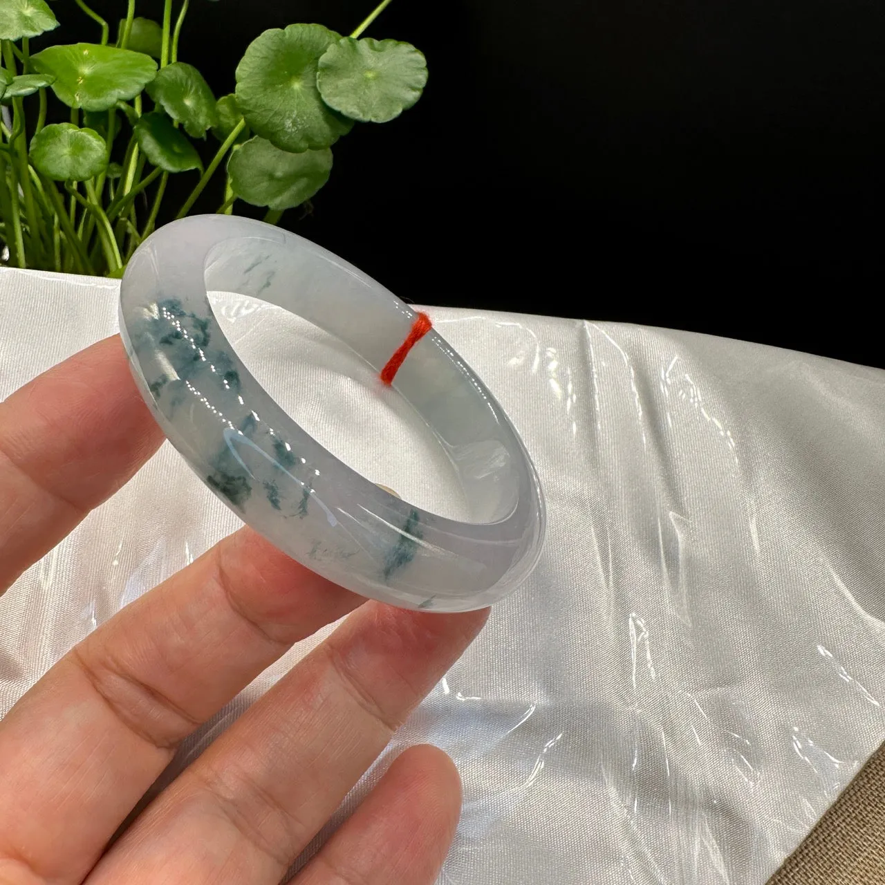 Genuine Burmese High-end Jade Jadeite Oval Bangle Bracelet ( 56.6mm )( Collectibles )