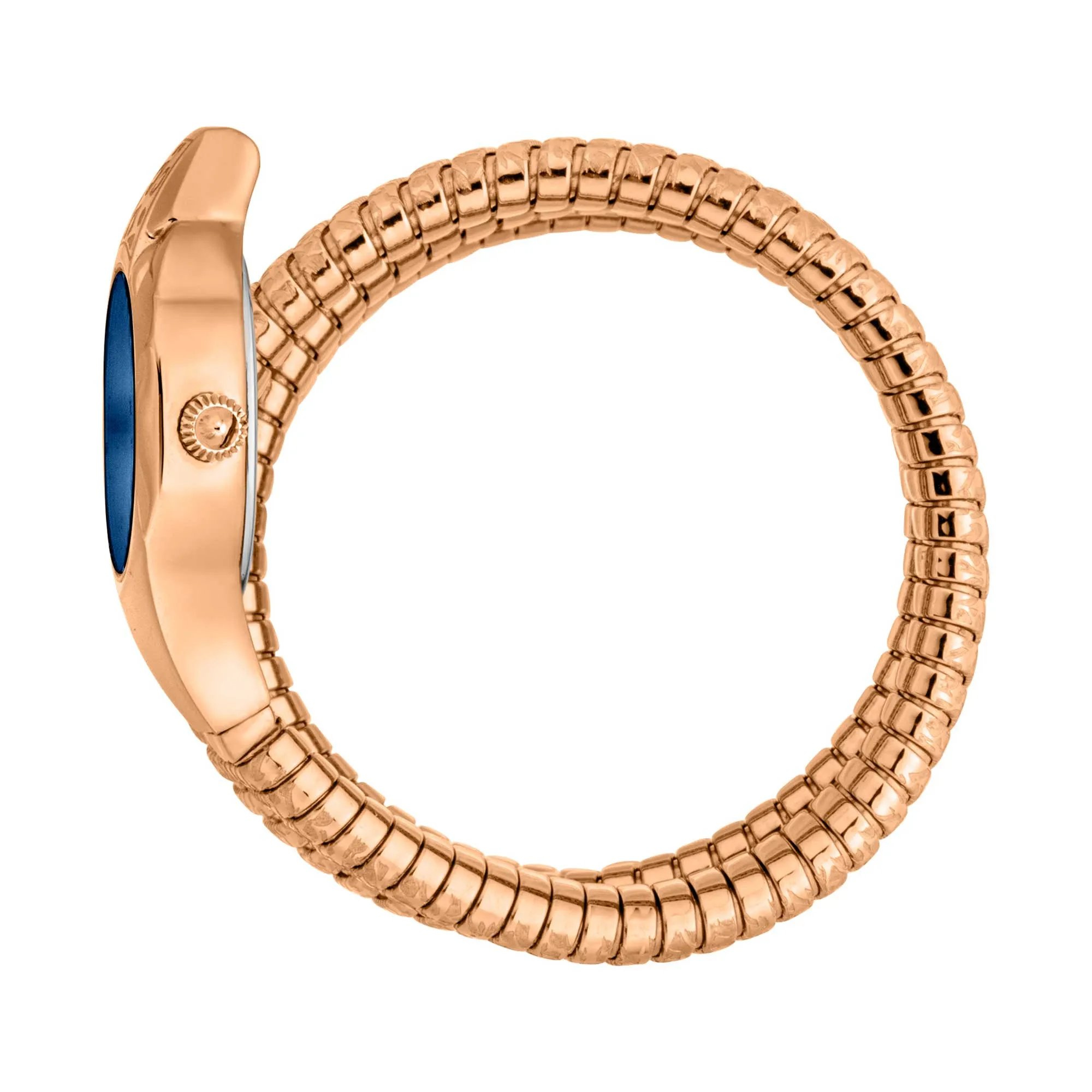 Just Cavalli Women's JC1L271M0045 Signature Snake Ravenna mm Quartz Watch