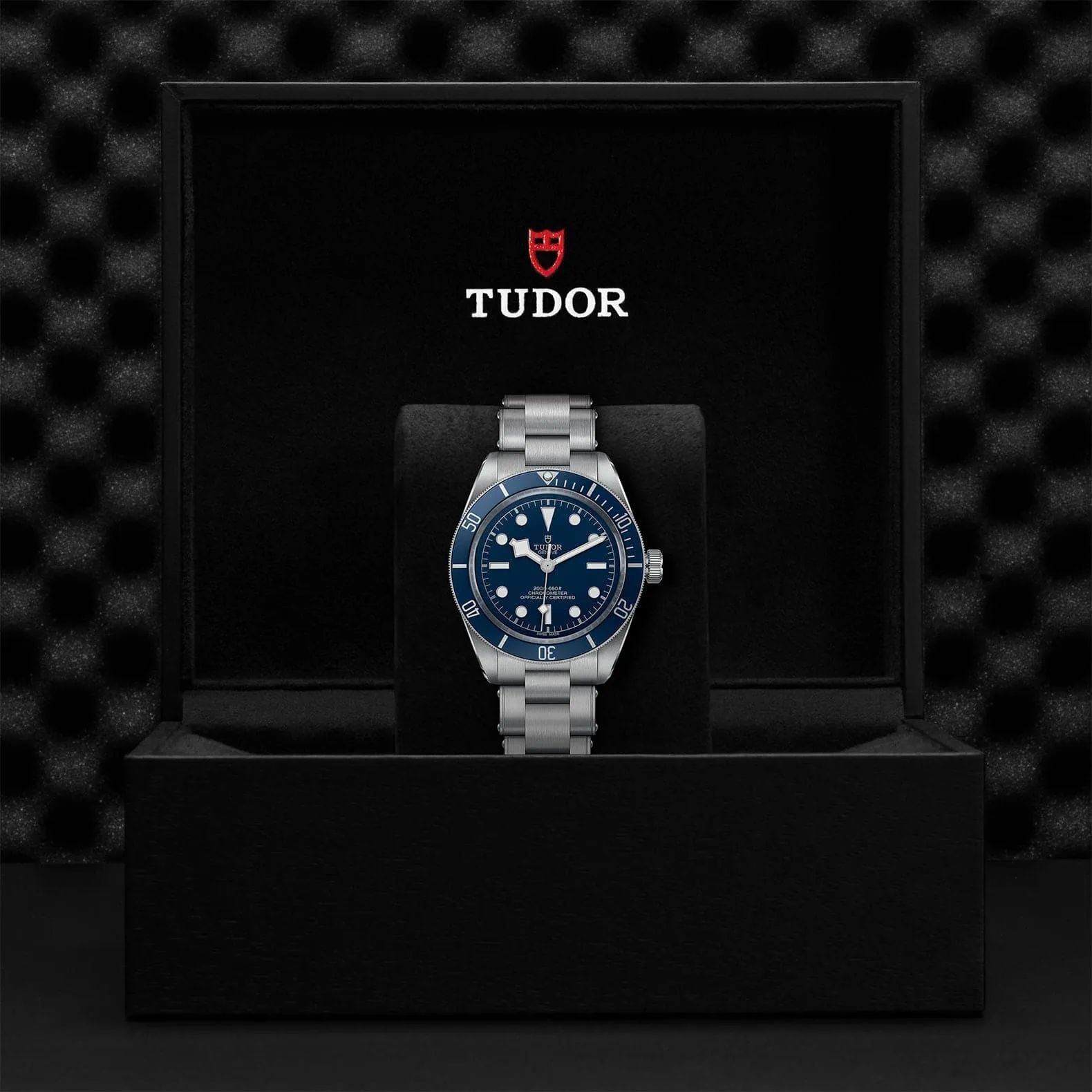 TUDOR Black Bay 58 39mm Case, Blue Dial, Steel Bracelet (M79030B-0001)