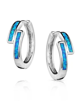 Women's Subtle Enchantment Opal Earrings